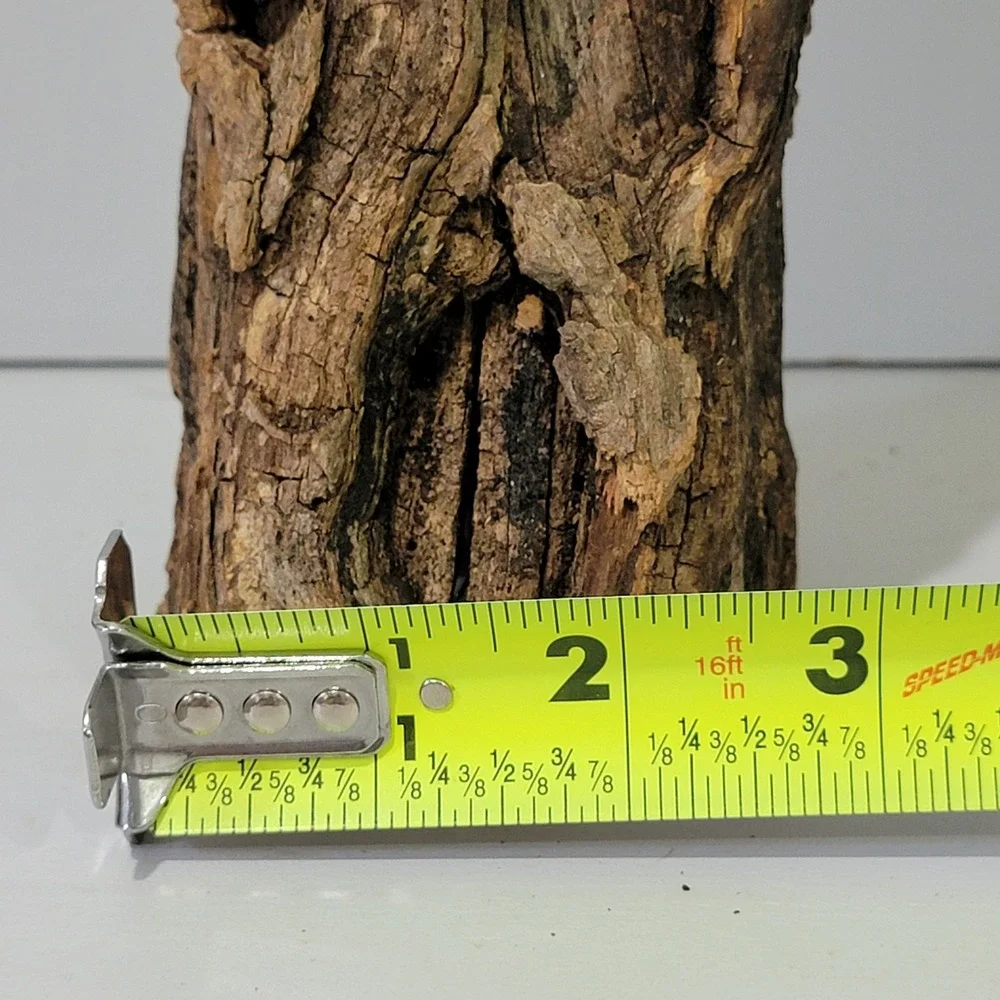 Natural Hollow Log Wood Air Plant Holder Rustic Terrarium Decor 11 inch